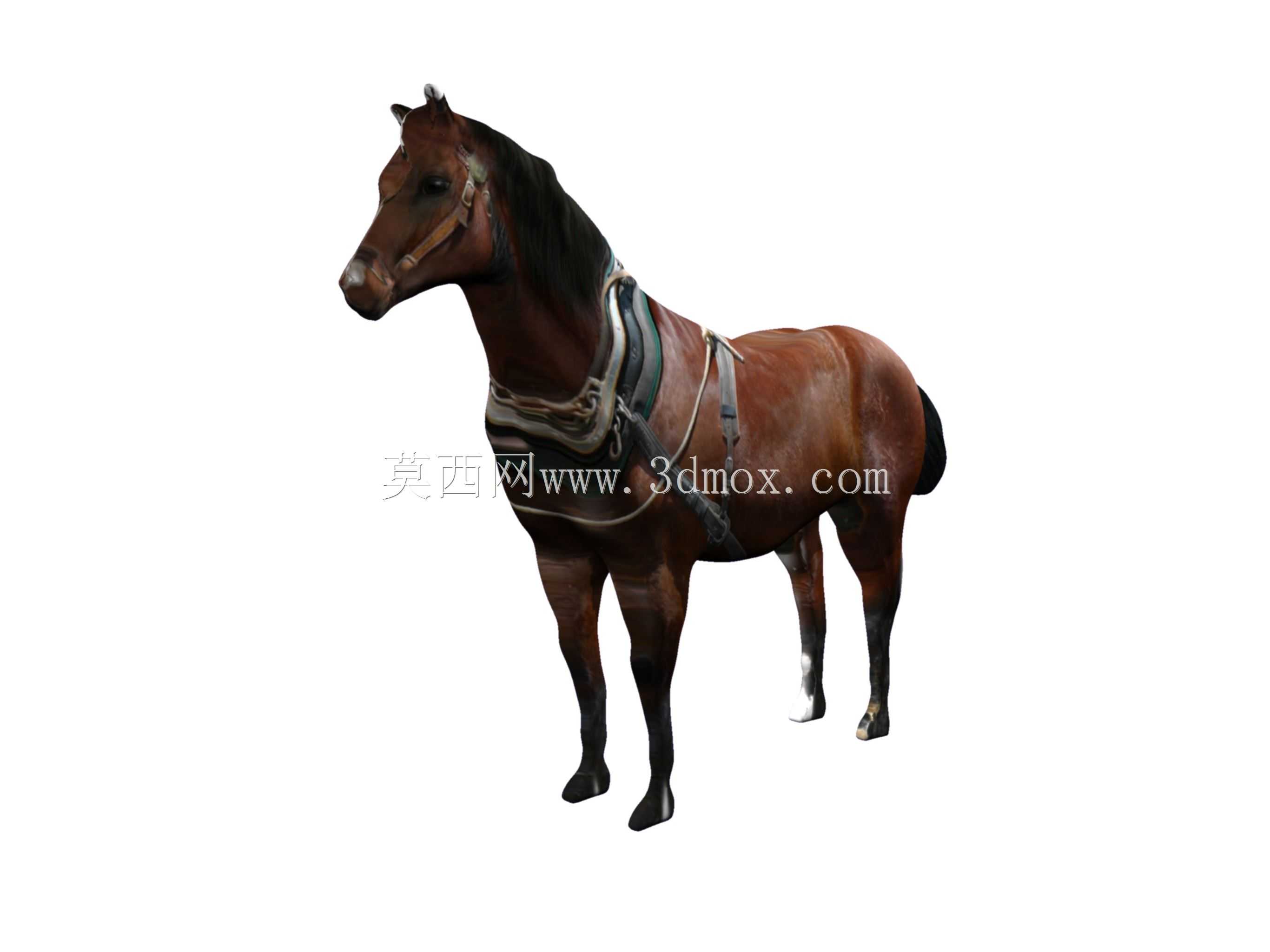 �л���ģ��