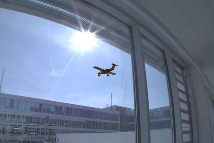 大黄酸-FlugzeugbauFanliner