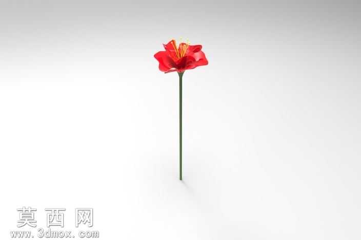 鲜花