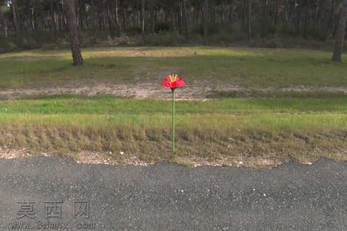 鲜花