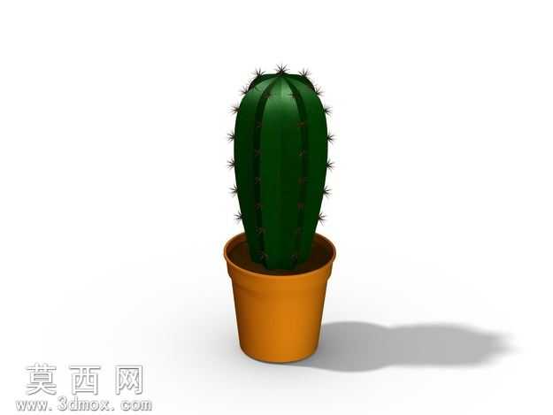 可爱仙人掌