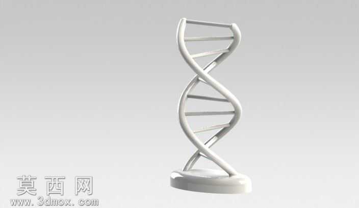��̬DNA
