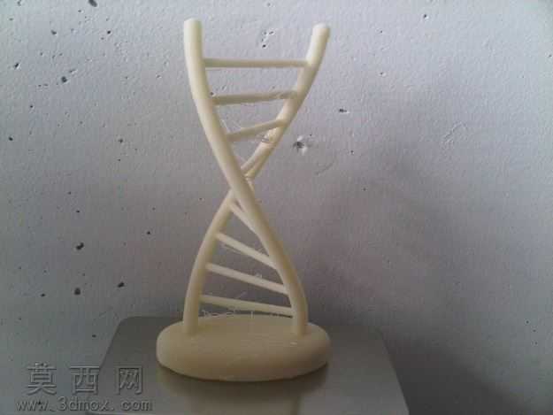��̬DNA
