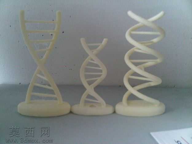 ��̬DNA
