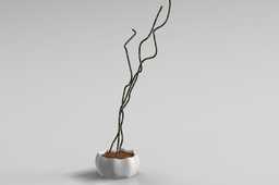 VASE2
