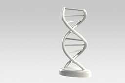 ��̬DNA
