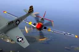 P-51Ұ��