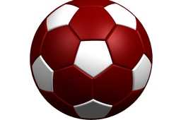 pallone��׼