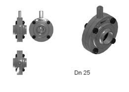 ����Dn 25