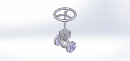 ��ֹ����asme b16.34
