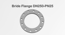 ������ͷDN250 PN25