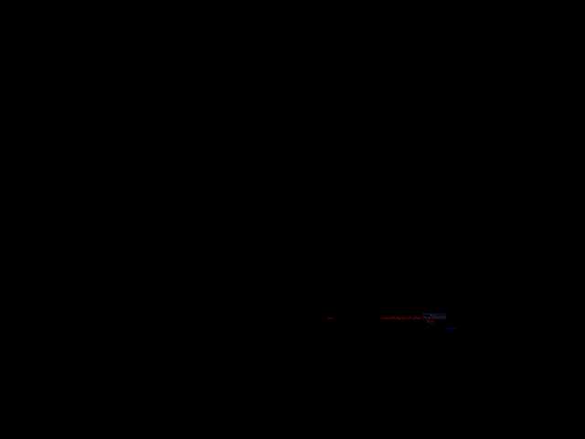 WILDEN��Ĥ��-2.0Ӣ��-��