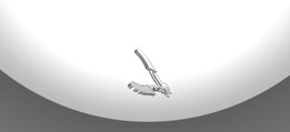 ǯ��