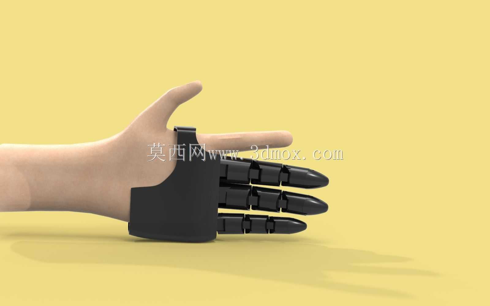 假指