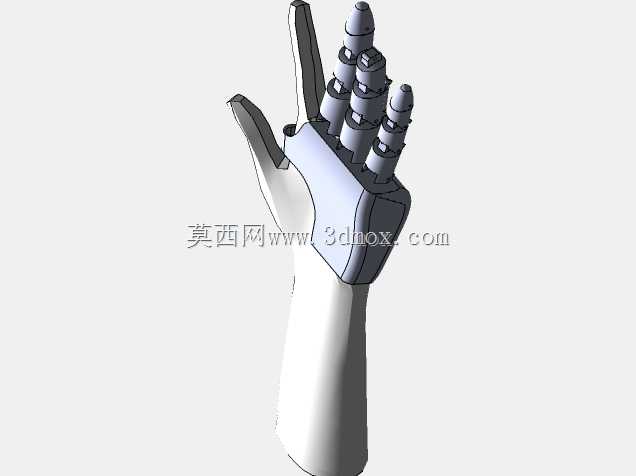 假指