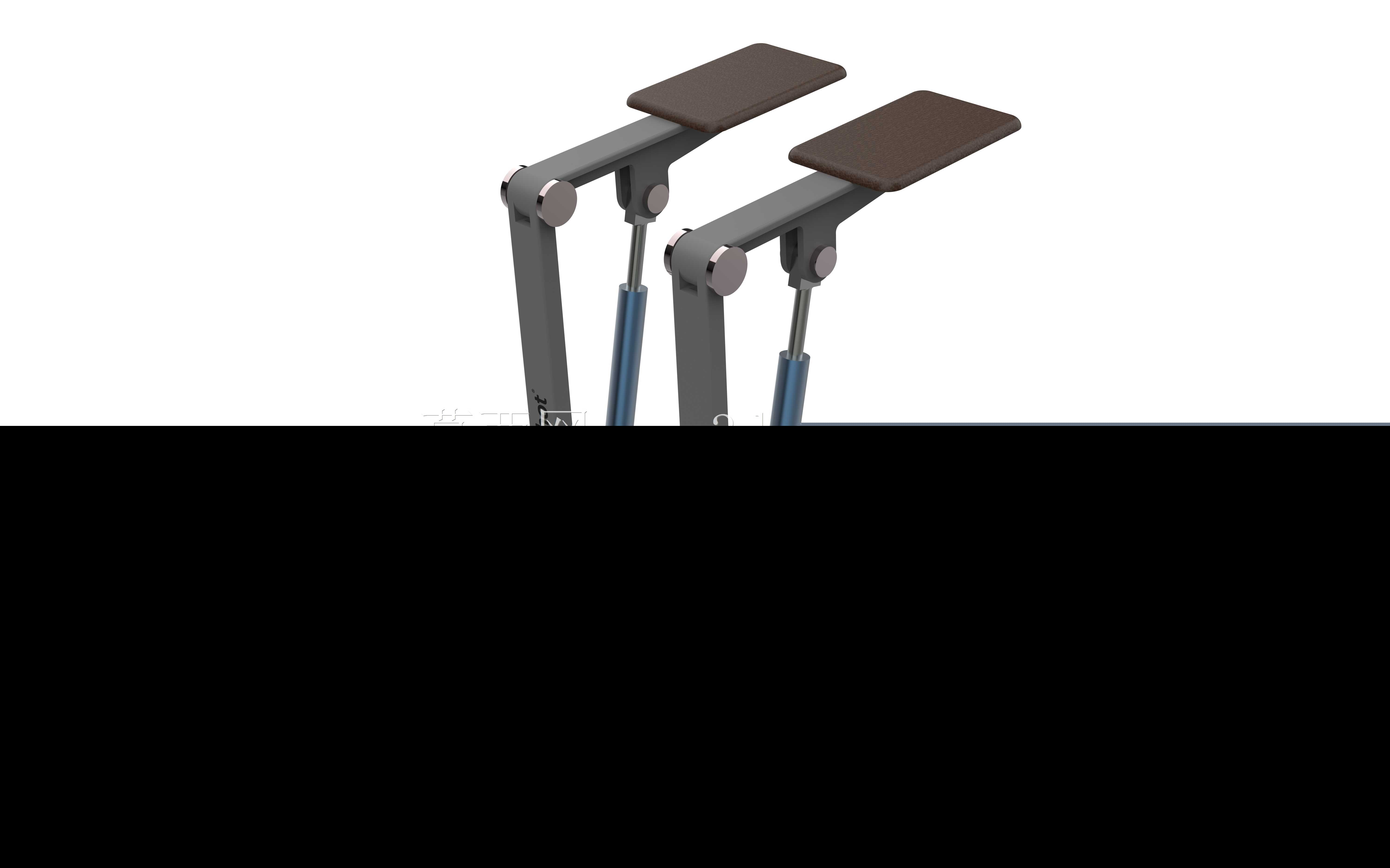 �������֫����֫�������