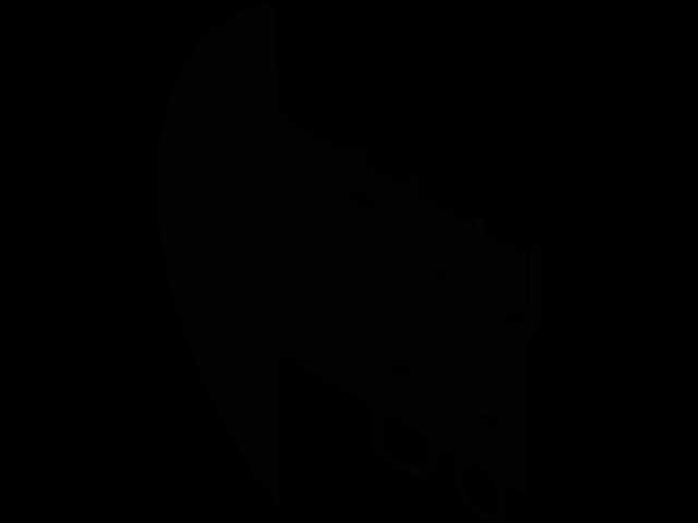����-01