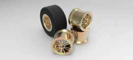 F1��̥���������-ʹ������Ⱦ�Ͷ�������-