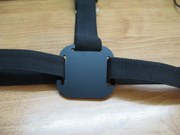 GoPro_BandJoint_Came