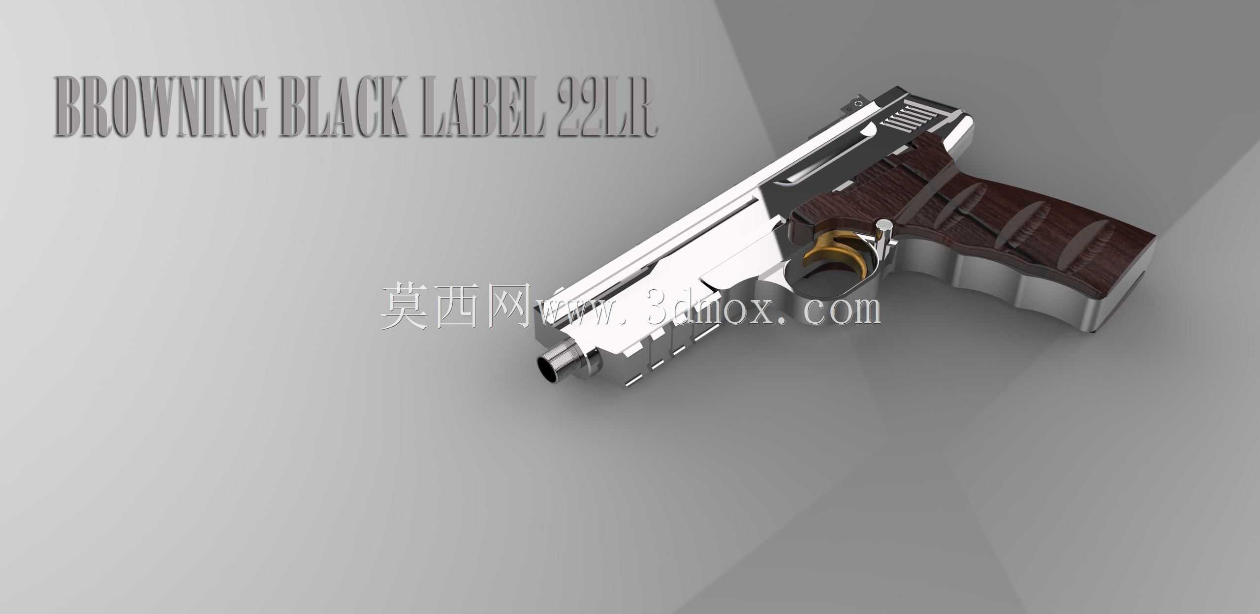 �������ڱ�22LR