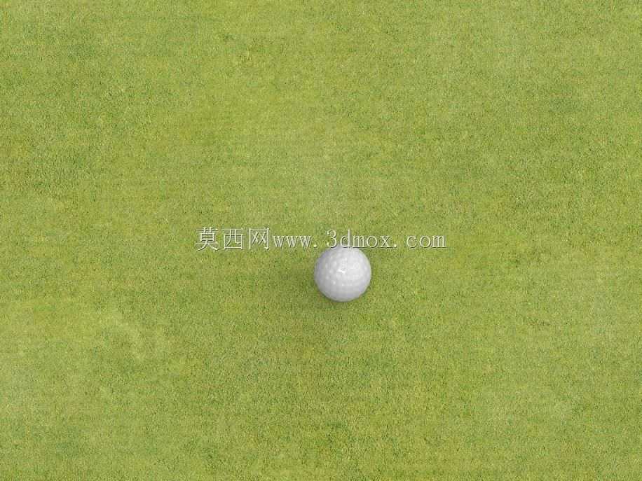 高尔夫球