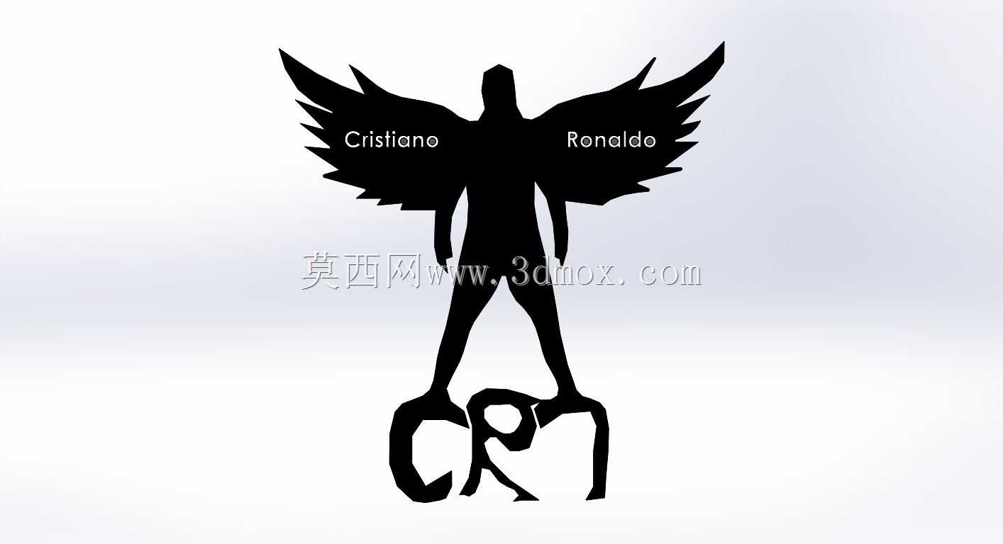����˹����ŵ�����ɶ���/CR7/��־/����/װ��