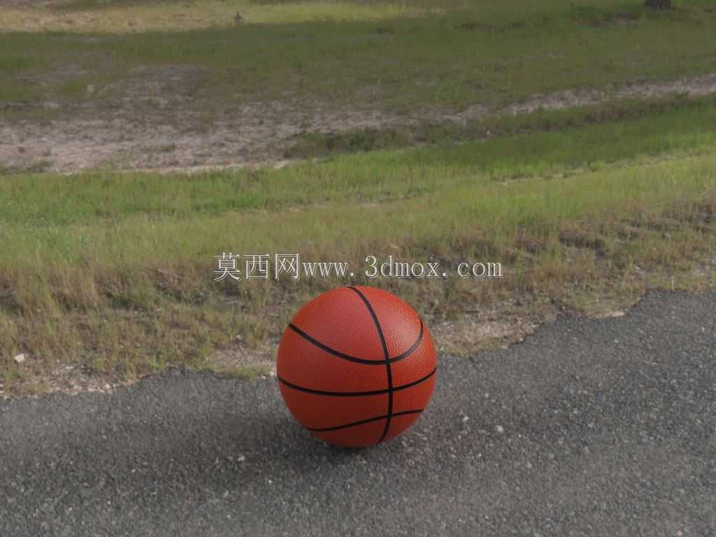 �����˶�