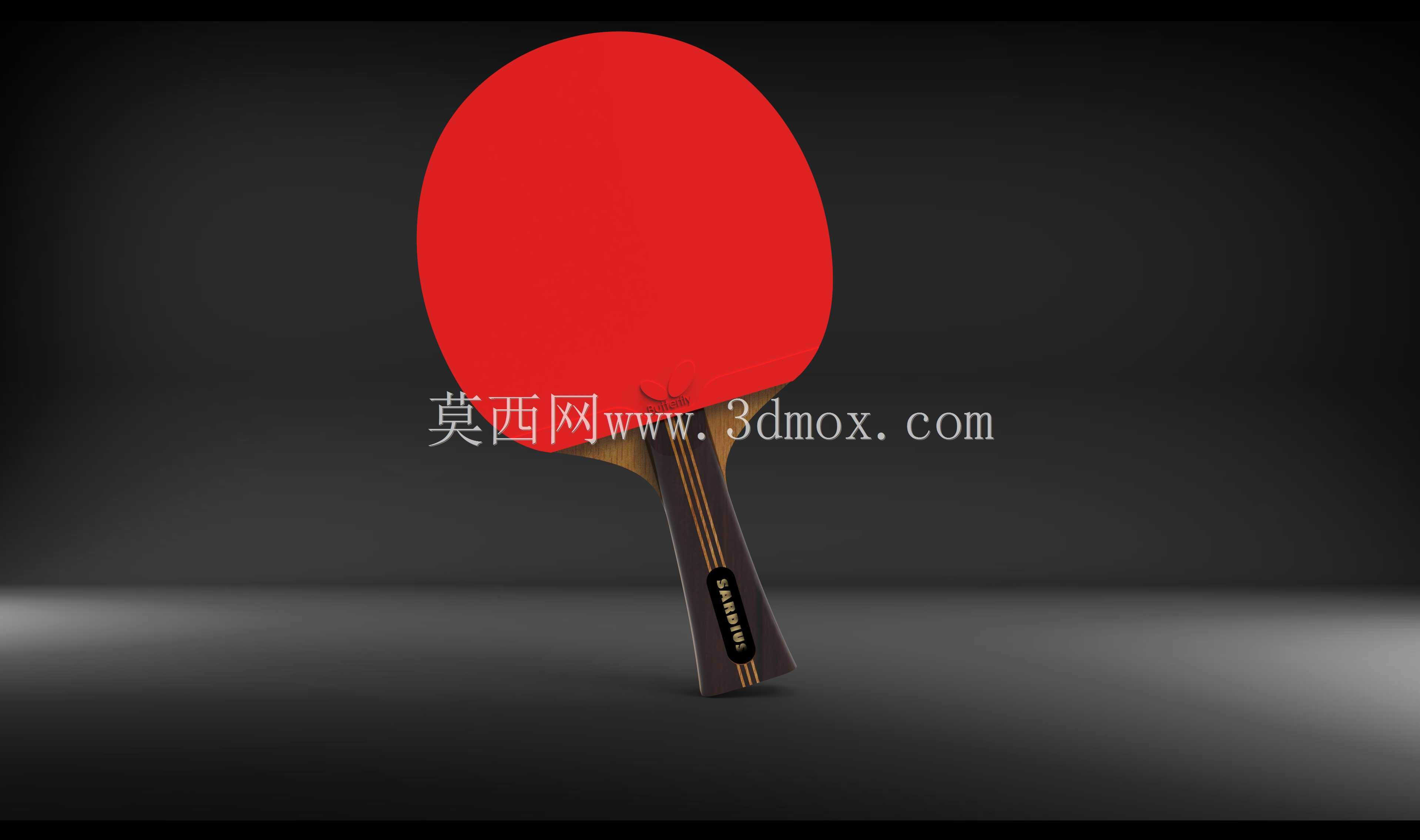 乒乓球拍