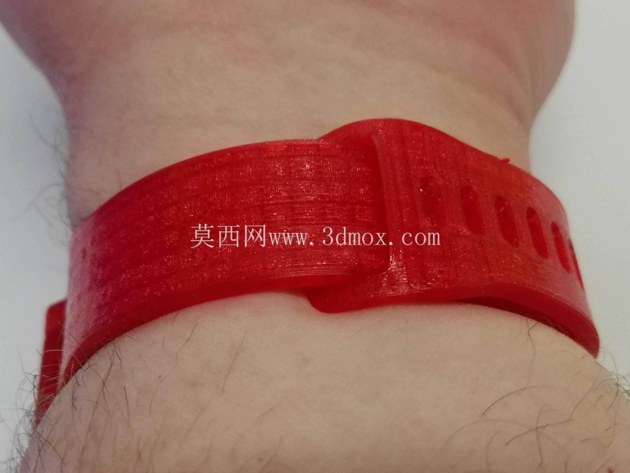 FitBit费用2