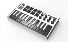 �ྮMPK����3