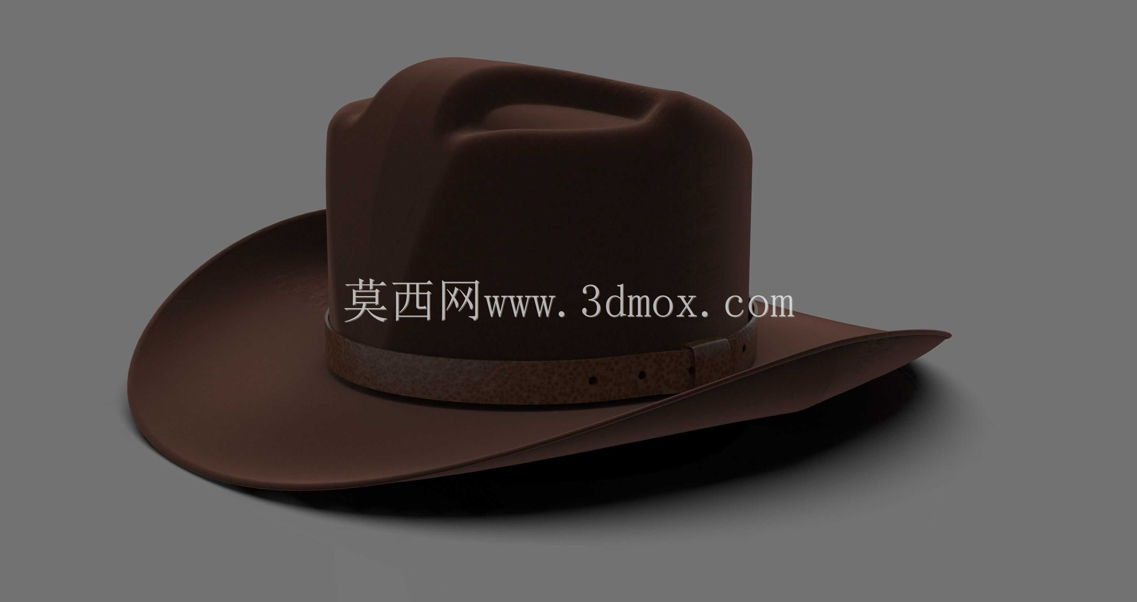 牛仔帽