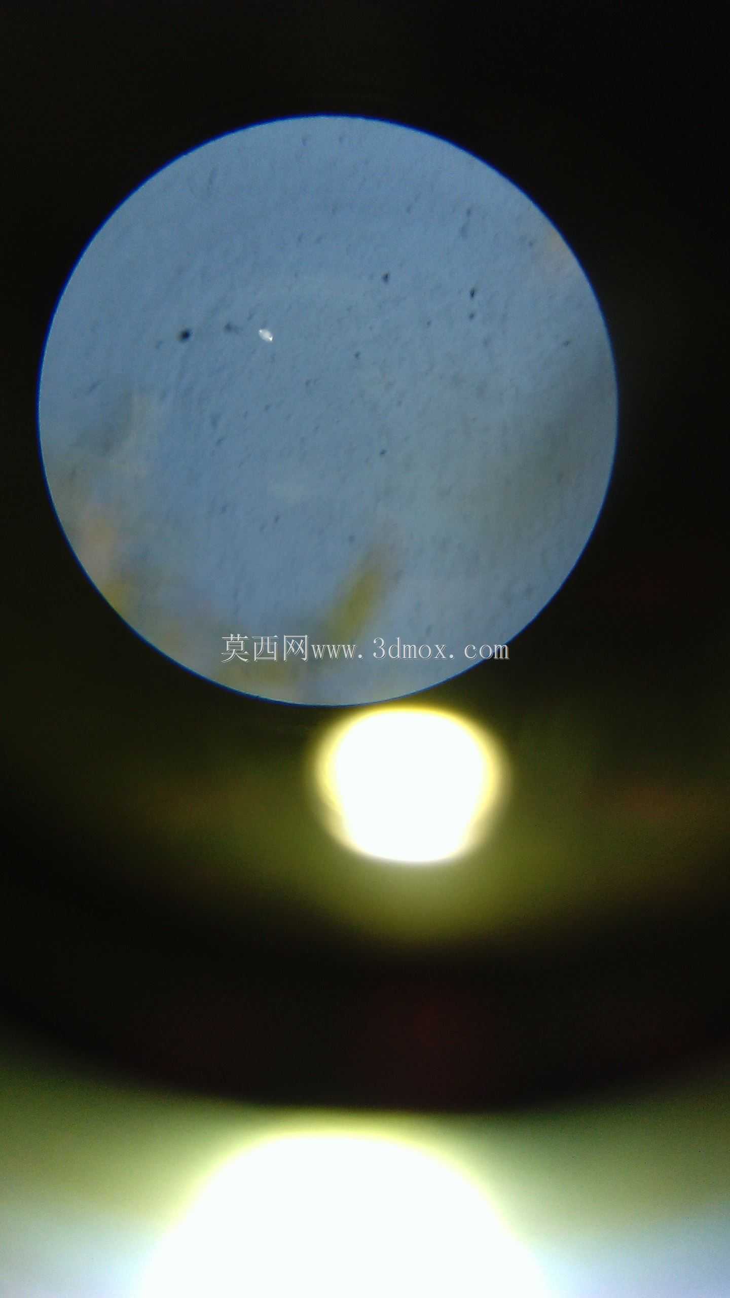 飞碟OVNI