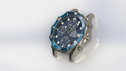 ŷ����Seamaster 2599.8000