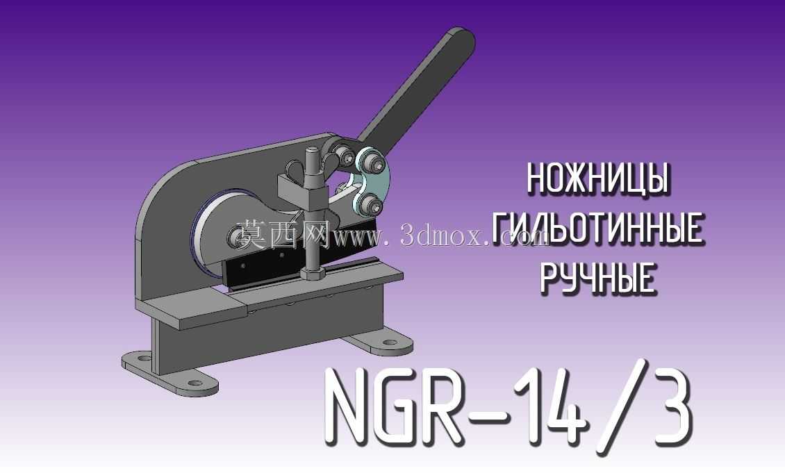 NGR-140300.000