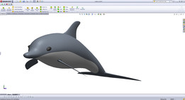 Dolphin-Solidworks��