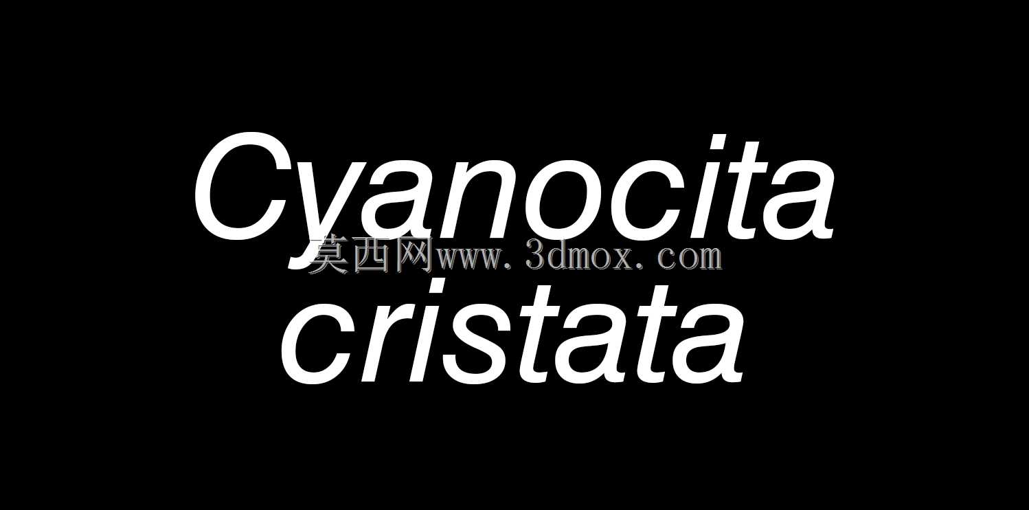 �ָߴ���-С��21301��-����ѻ