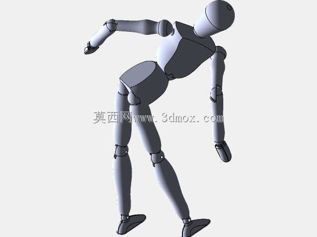 人体模型