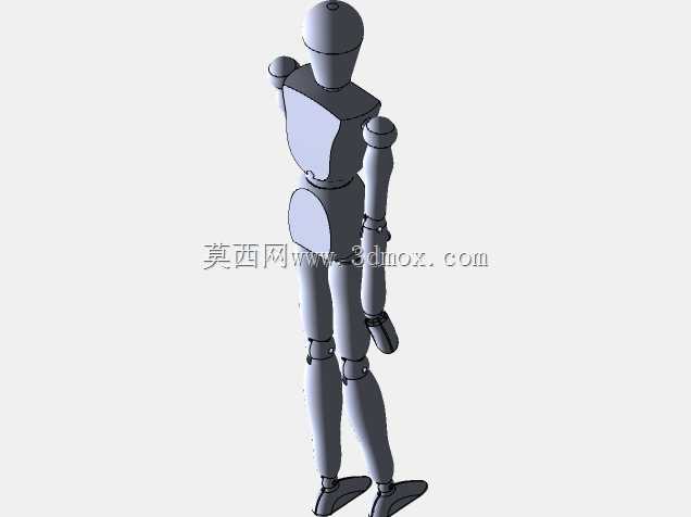 人体模型