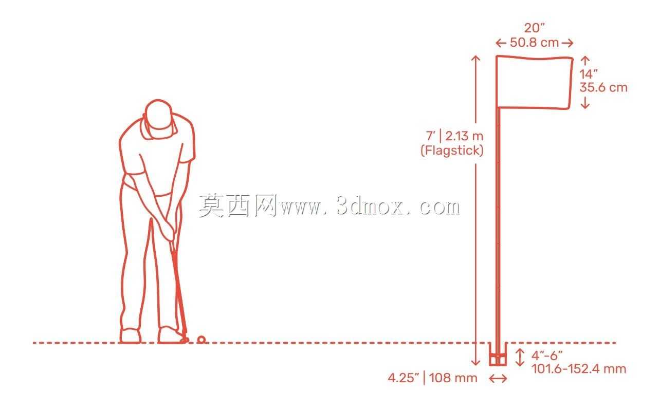 标准高尔夫球洞杯
