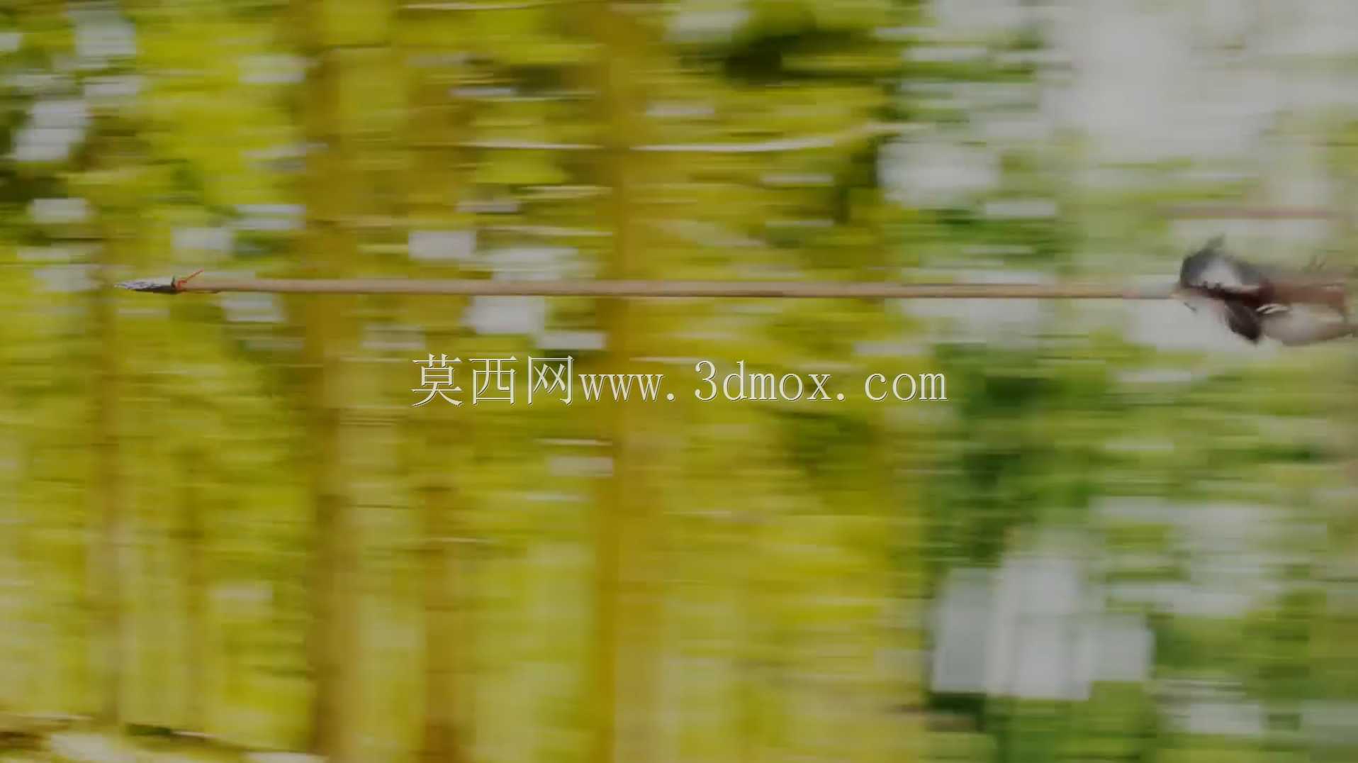 我的动画:贝尔格勒森林中的孤独之箭