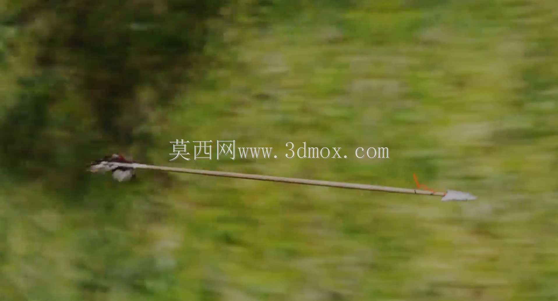 我的动画:贝尔格勒森林中的孤独之箭