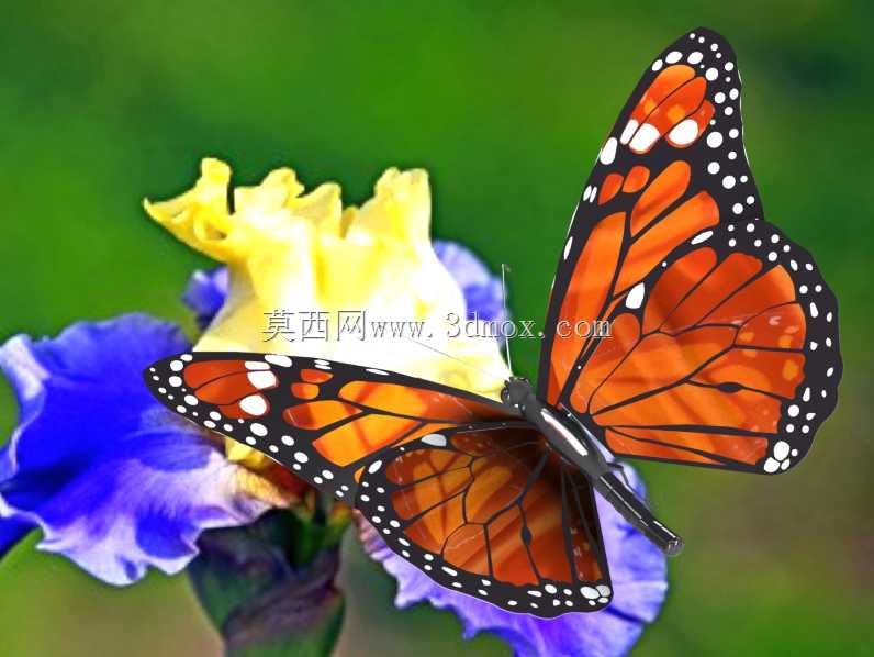 帝王蝴蝶创造了部分解决方案