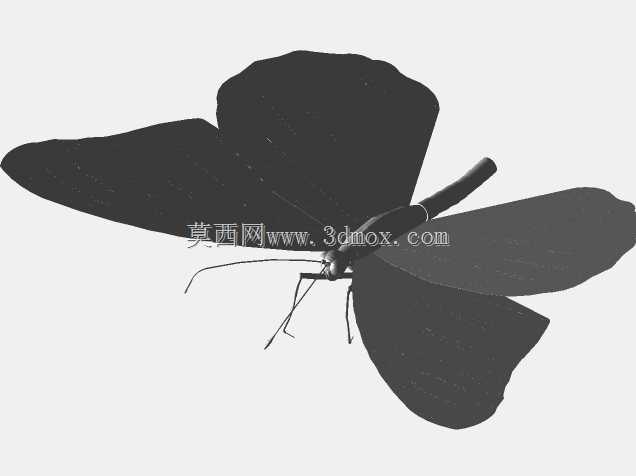 帝王蝴蝶创造了部分解决方案