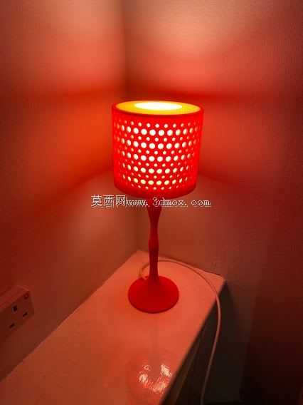 3D��ӡ���