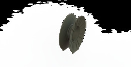 ���֣�AUS004754-61��