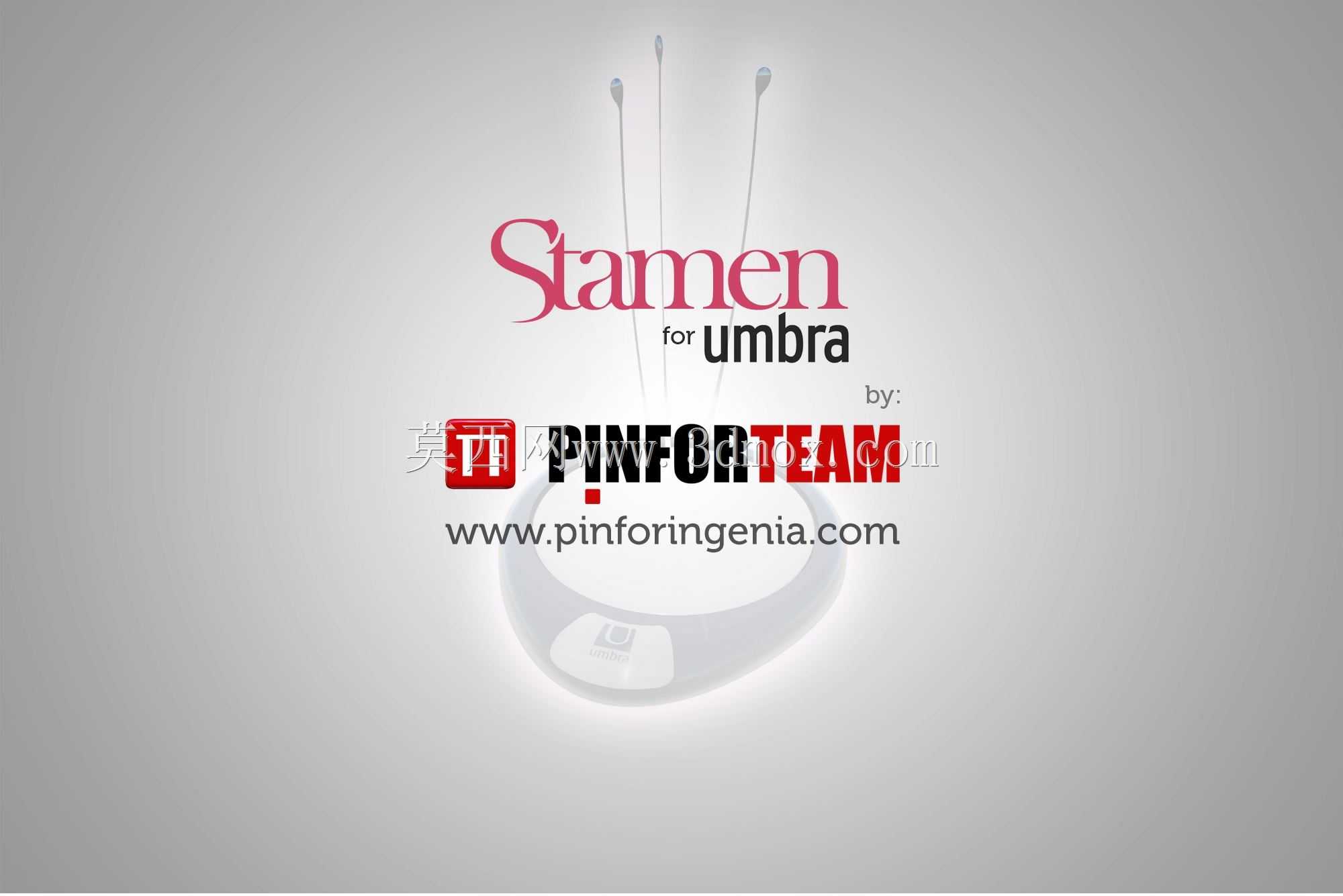 \Pinfor团队的“雄蕊\”?2014