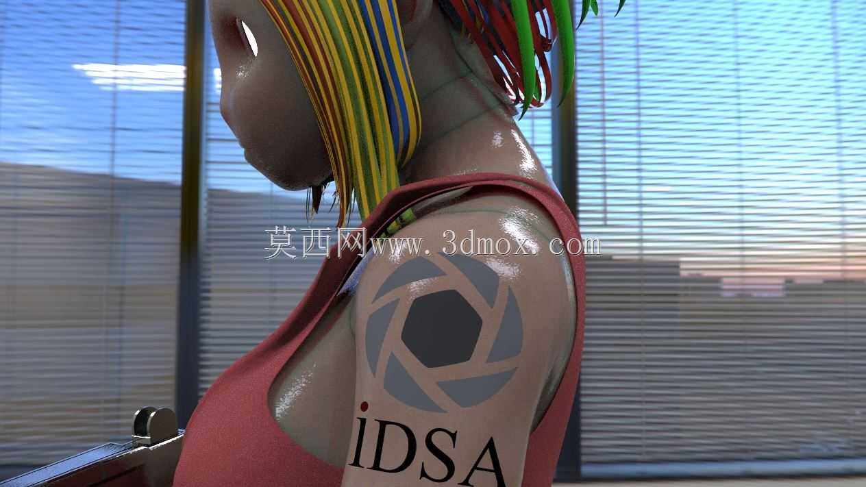IDSA KeyShot��ѯ��Ŀ