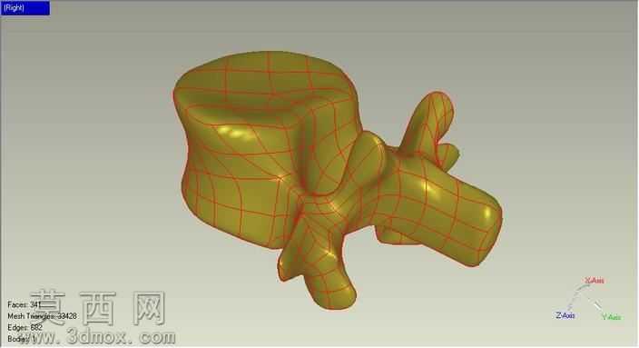lumbar_vertebrae_3d_model
