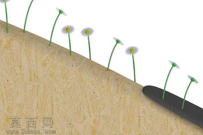 竹篙席尔瓦