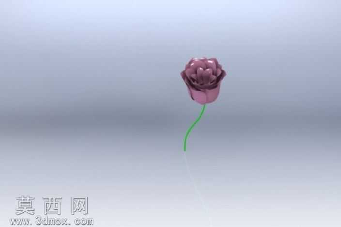 õ��
